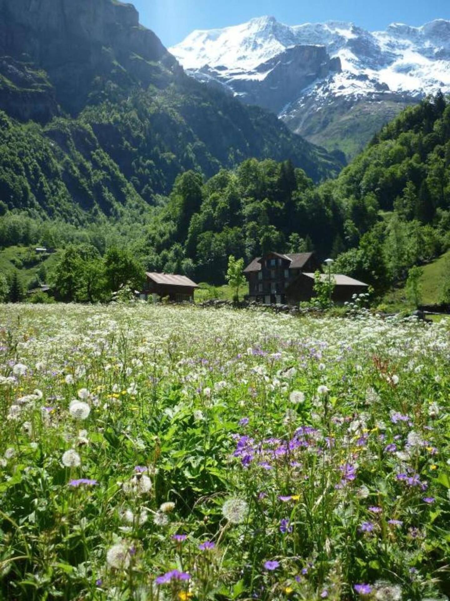 Alpenhof Mountain Lodge Штехельберг Экстерьер фото